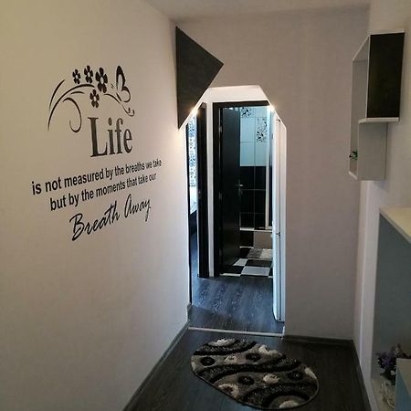 White Black Rooms Hunedoara Bagian luar foto