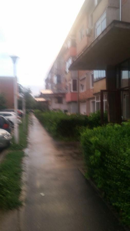 White Black Rooms Hunedoara Bagian luar foto